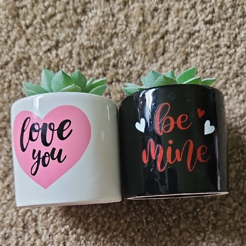 Love You and Be Mine Succulent Planters